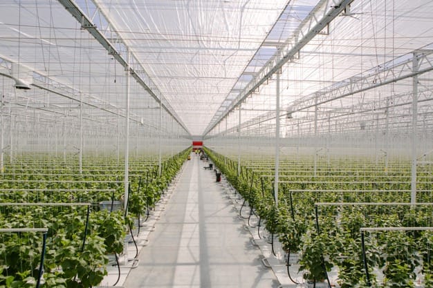 Sustainable agriculture practices in Canada to preserve arable land