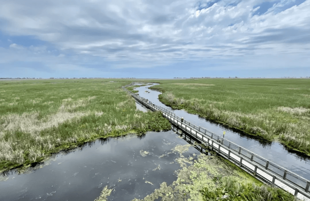 Scenic view of Point Pelee National Park near most southern city in Canada