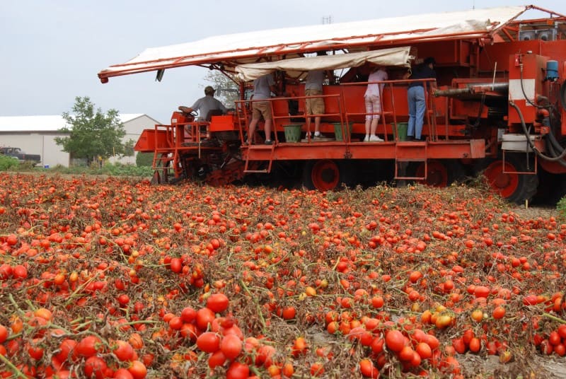 Farms near the most southern city in Canada